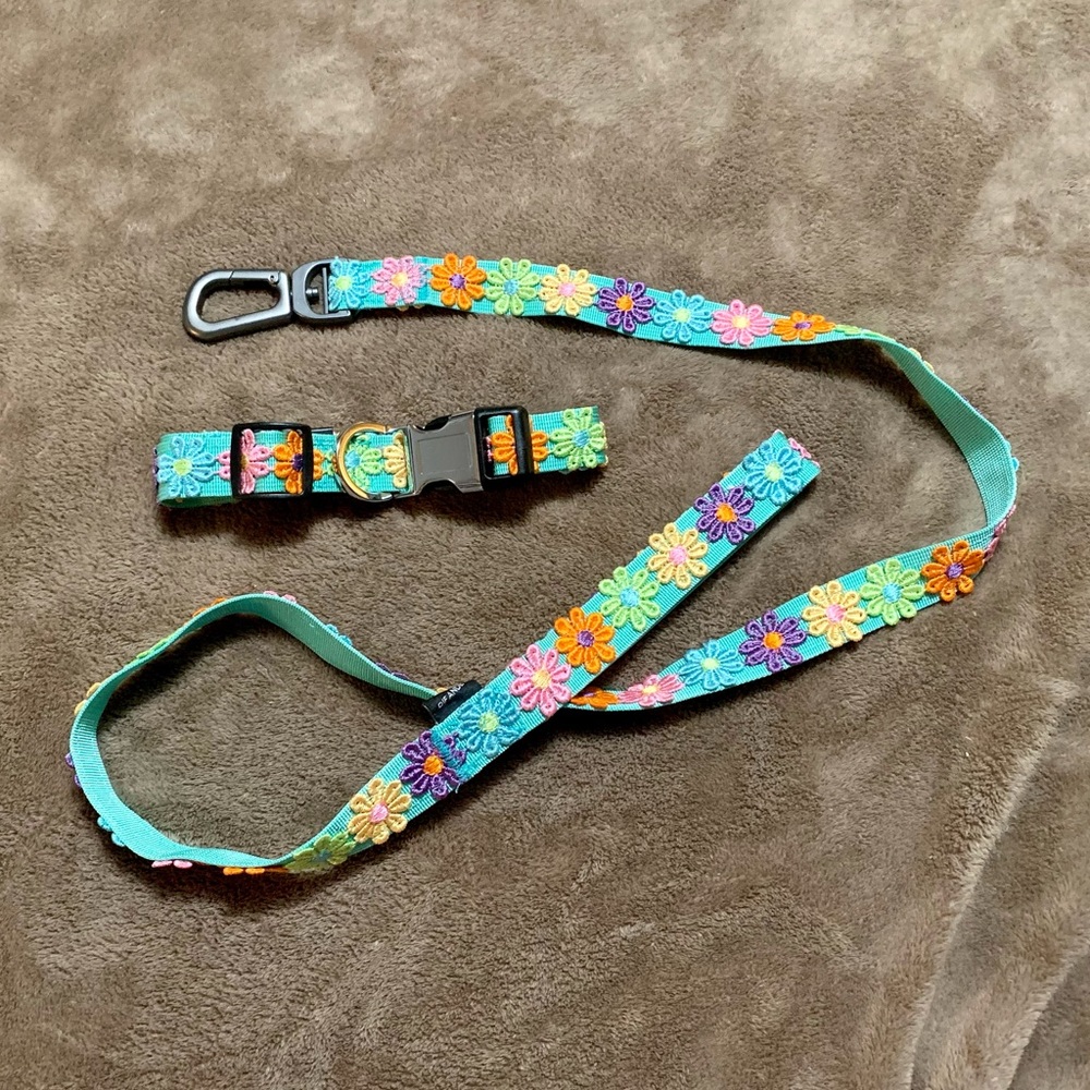 Dog collar/leash matching set